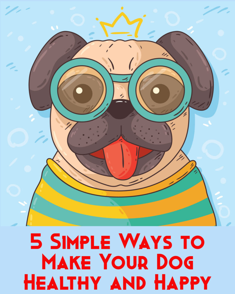 5-simple-ways-to-make-your-dog-healthy-and-happy-dog-world